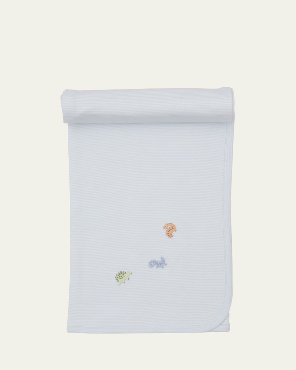 Boy's SCE Dino District Embroidered Blanket